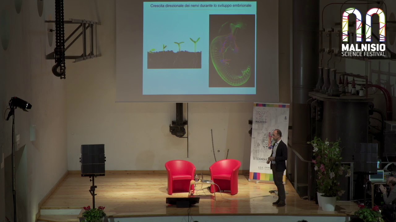 Dario Bonanomi: "Come si formano le connessioni nervose per il controllo dei movimenti"