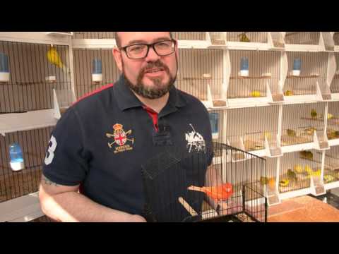 The Canary Room - Episode 3 Preview