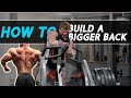 How To Train Your Back | IFBB PRO Josh Bridgman
