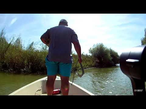 Delta Dunarii 12-15 august 2020 balteni de jos tulcea