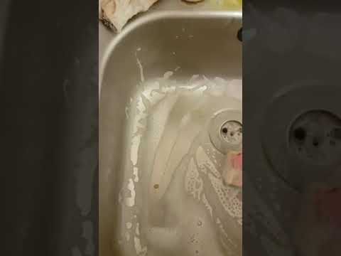 Ecover Limescale remover product review. Cruelty free Began Friendly cleaning products.