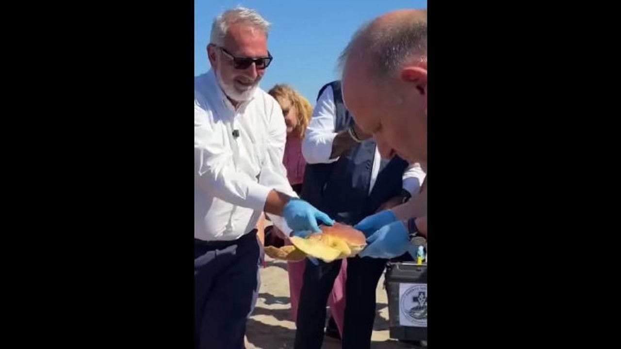 Rocca (Lazio) libera in mare tartaruga Fortuna: Emozione unica con i bambini del Bambino Gesù