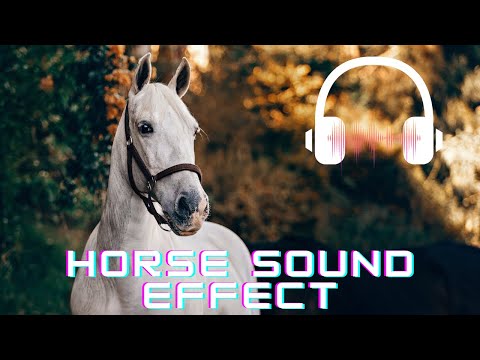 Horse sound effect | Horse neighing sounds| Horse sounds | What sounds does a horse make?