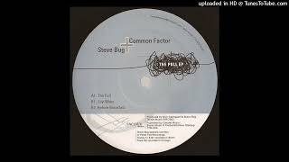 Steve Bug & Common Factor - Say When