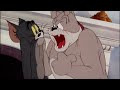 ᴴᴰ Tom And Jerry Episode 22 Quiet Please 1945 P1 3 TAJC Duge Mite