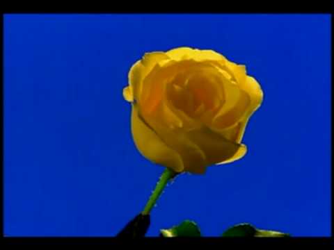 Jose Asuncion Flores - Manuel Ortiz Guerrero - Ne Rendape Aju