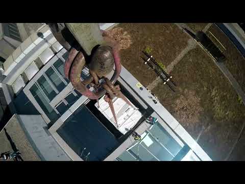 Krantransport und Installation der neuen EOS P500 Maschine