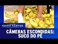 Suco Do Pé Câmeras Escondidas 07 05 17
