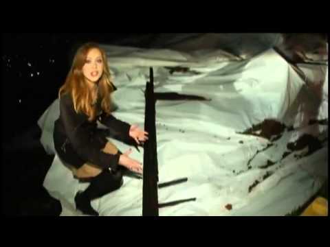 Amsterdam police investigate wave of crime