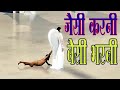 Jaisi Karni Waisi Bharni Jo Boyega Wahi Payega Title Song Neil Nitin Mukesh Nitin Mukesh Song