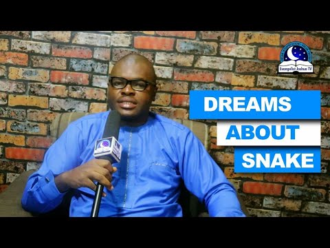 DREAMS ABOUT SNAKE - Find Out The Biblical Dream Meanings