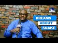 DREAMS ABOUT SNAKE Find Out The Biblical Dream Meanings