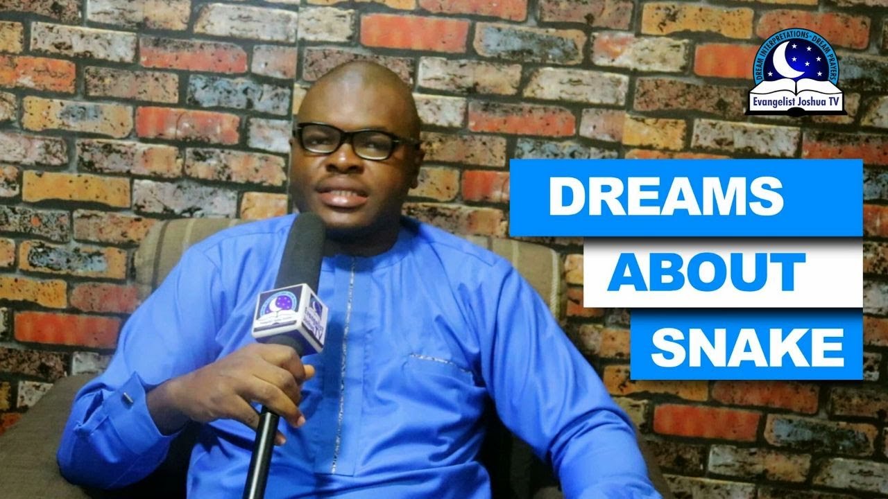 DREAMS ABOUT SNAKE - Find Out The Biblical Dream Meanings