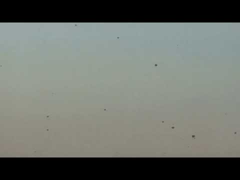 Faisalabad Special Basant 2021 | BigKites Pecha | Kites Fight | #Kites #Patangbazi #Faisalabadikites