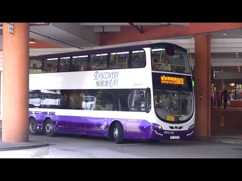Hong Kong Buses - Discovery Bay and Kwoon Chung Roundup 2015