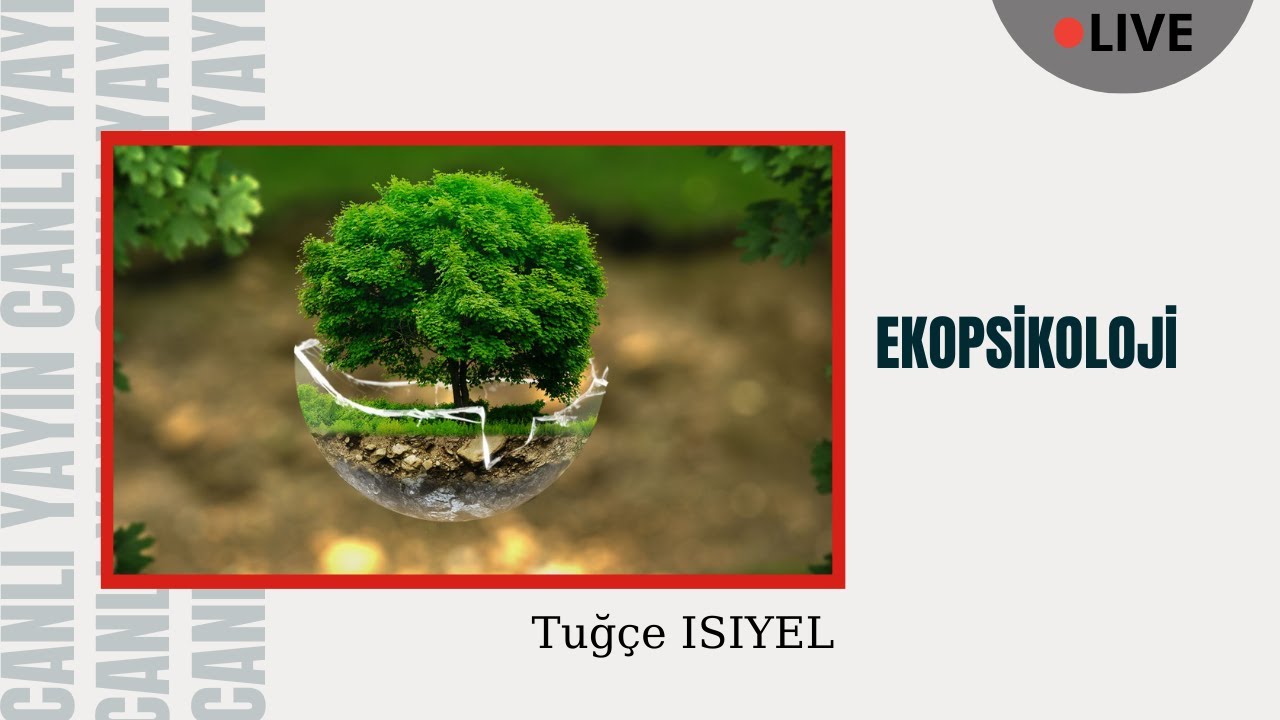 Youtube Videoları thumbnail