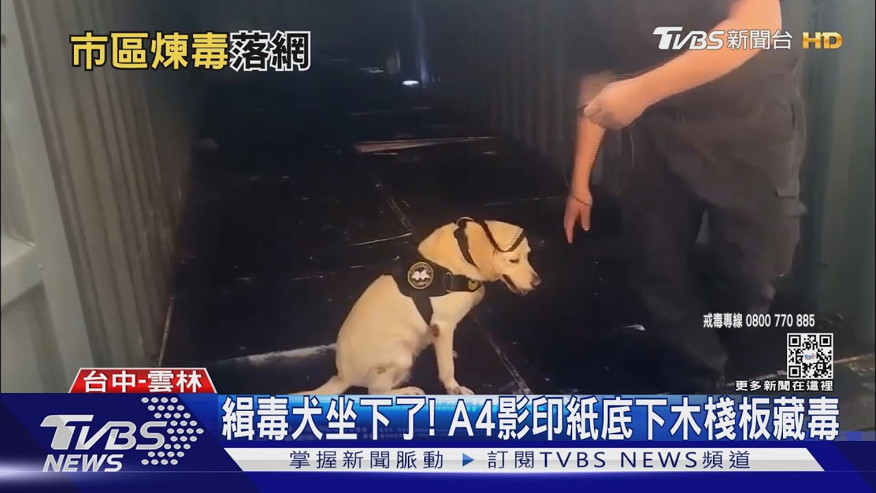 緝毒犬坐下了! A4影印紙底下木棧板藏毒