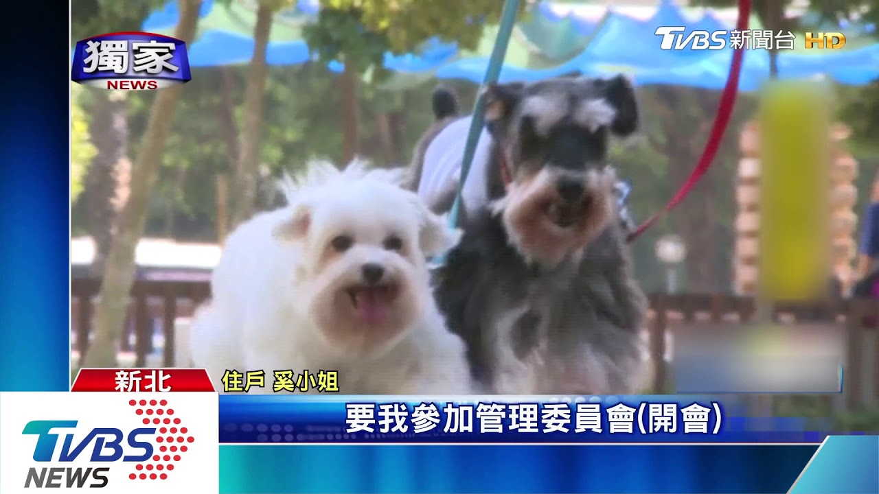 飼主不滿社區「寵物限搭貨梯」 管委會:可提異議