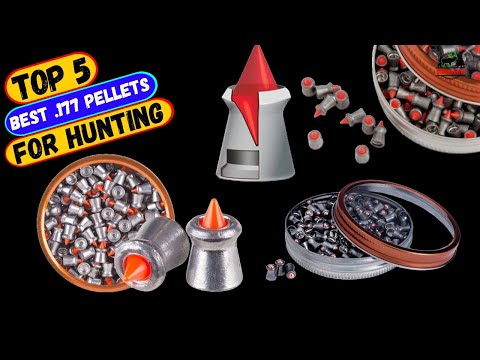 Best .177 Pellets for Hunting of 2024