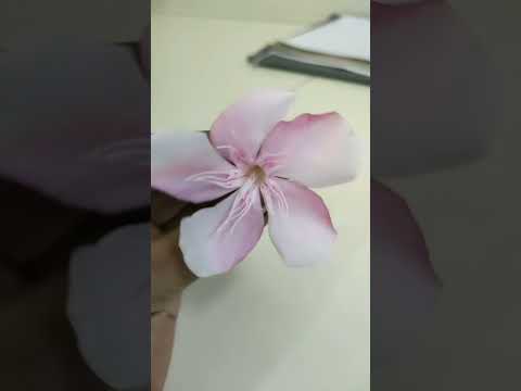 #flowers #shorts #youtubeshorts