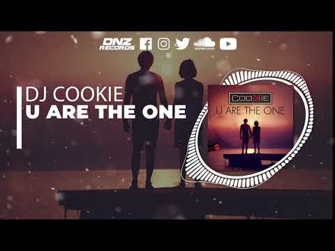 DNZF1091 // DJ COOKIE - U ARE THE ONE (Official Video DNZ RECORDS)
