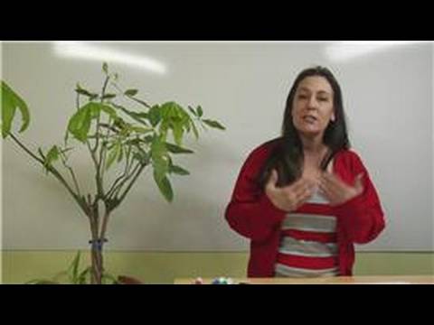 如何做一個好的傾聽者：好的傾聽者。積極傾聽 (How to Be a Good Listener : Good Listeners: Active Listening)