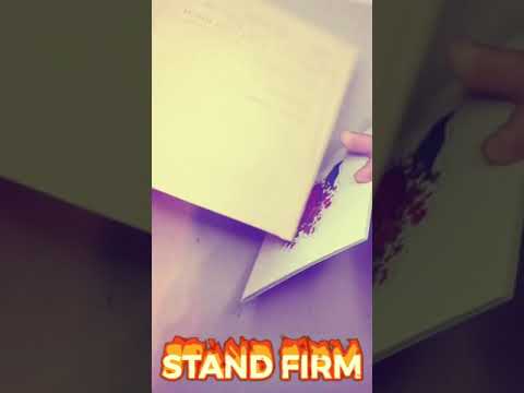 MAZERSCHI - a sticker book