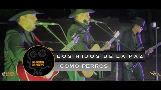 Como Perros - Miguel y Miguel |COVER Los Hijos de La Paz