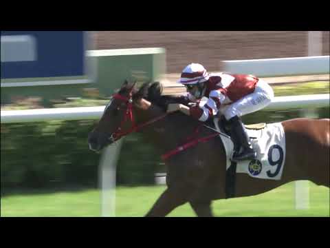 26/12/2020 (298) Sight Success- J Moreira (Debut Win!)