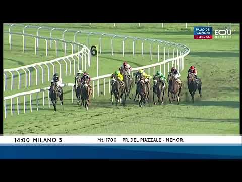 Premio Del Piazzale - Gruppe 3