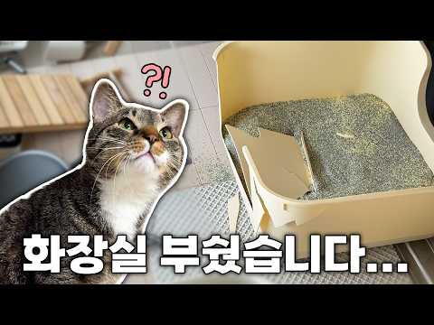 대형사고를 쳤습니다