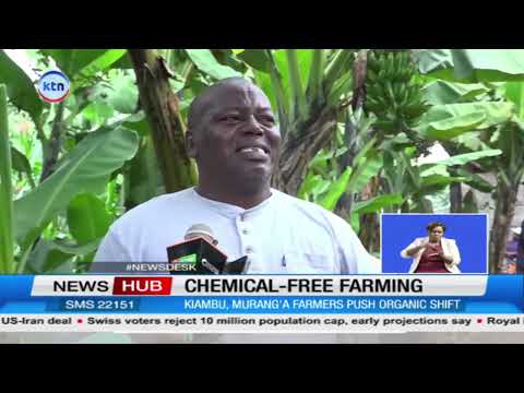 Kiambu and Murang’a farmers push for organic farming amid health and soil concerns