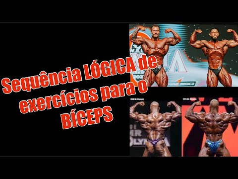 Sequência LÓGICA de exercícios para o BÍCEPS