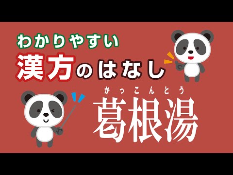 薬学科 葛根湯　かっこんとう