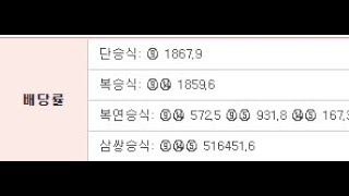 확률!!516451배, '송암캣' 박현우 기수의 추입!! 역대급 배당률