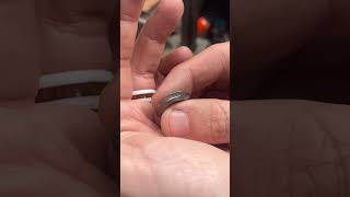 Making a 1958 Quarter Coin Ring