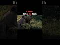 The Last Moments Of The Greatest Lion In History Viral Shorts Youtube Video