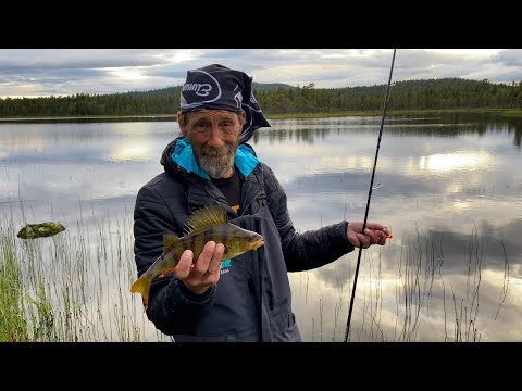 Rantakalastusta erämaajärvellä • Välineet ja tekniikat • Ahvenen kalastus • Ruotsinreissu OSA 3