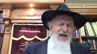 הלכות יו"ט – הלכות ראש השנה – א, א)ב הימים קדושים ודאי - ב) יומא אריכתא, הרב שלום בער לוין שנת תשפ"ג