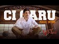 Mahesh Babu Mass Entry Aagadu Mahesh Babu Tamannah Brahmanandam Sun NXT Telugu