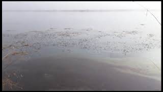 Крупное нефтяное пятно обнаружено на реке Ангара