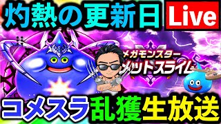 【ドラクエウォーク】コメットスライムがこころも弱いし、害悪的強さってマジ？駆除するわ