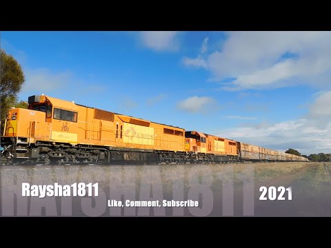 2PM9 - SCT008-CF4404-LZ3120-LZ3119 (SCT) Murgheboluc - Australian Trains by Raysha1811