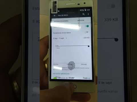 Homer Butrón bluboo xtouch