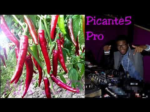 Presents Uhuru  -  Not Yet Uhuru Remix 2017🔥🔥🔥 [Dj Picante ]