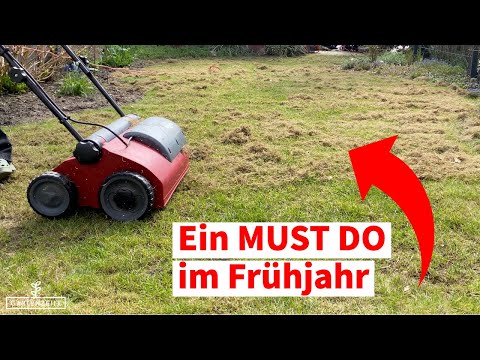 Rasen vertikutieren im Frühjahr [Deshalb solltest du es unbedingt machen]
