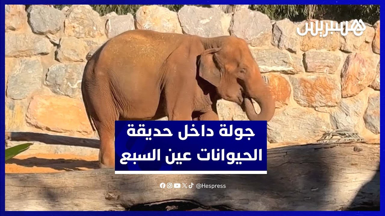 الدار البيضاء.. جولة داخل حديقة الحيوانات عين السبع الجديدة قبل فتح أبوابها thumbnail