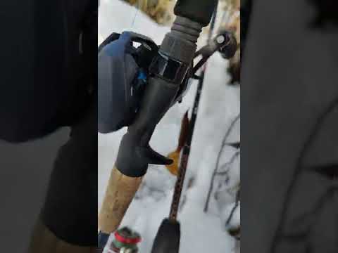 #Pinebarrens #NJ #Winter #fishingtrip #googansquad #banditobug #sliderhook #pickerel #cedarwater