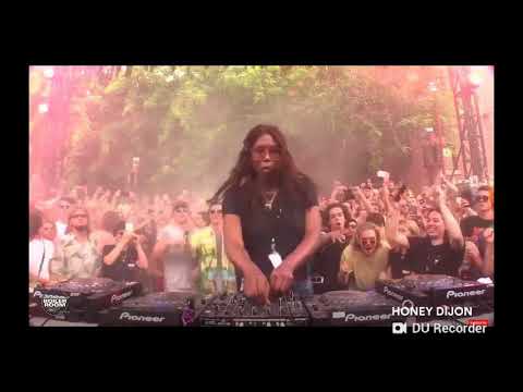 Marco Lys The Story Continues