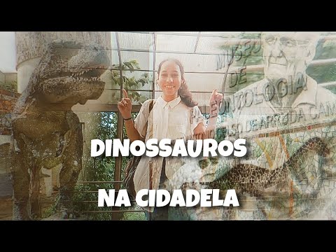 Museu I - Paleontologia #vlog 